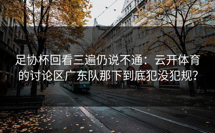足协杯回看三遍仍说不通：云开体育的讨论区广东队那下到底犯没犯规？