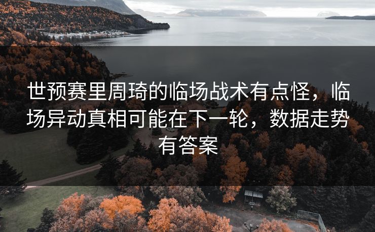 世预赛里周琦的临场战术有点怪，临场异动真相可能在下一轮，数据走势有答案
